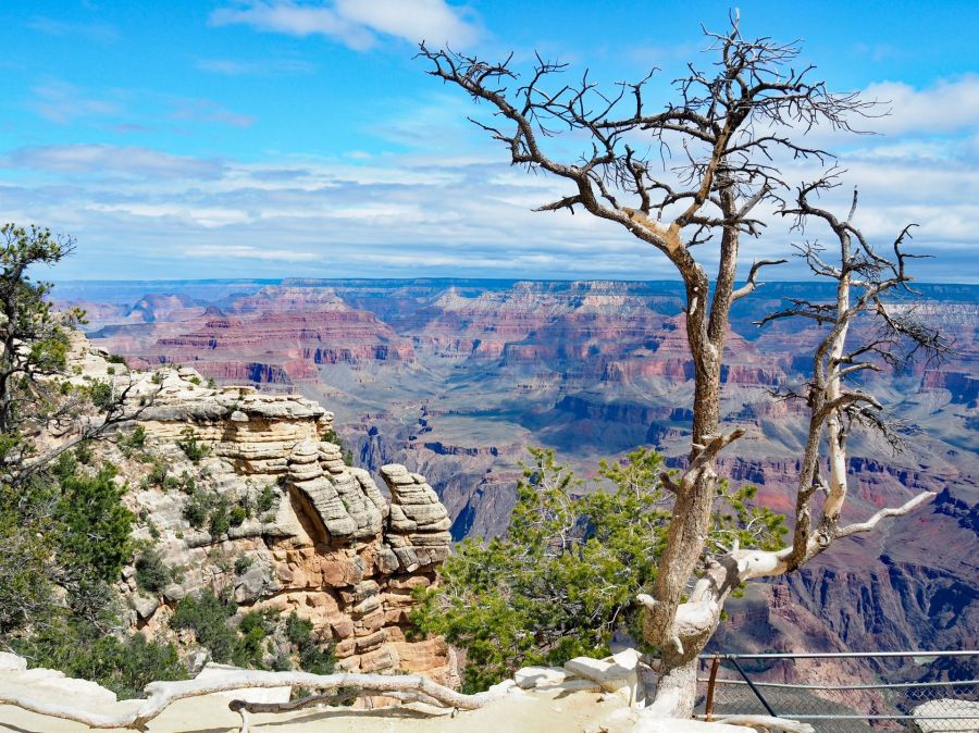 USA_Grand_Canyon-Privatbild_Frey.jpg