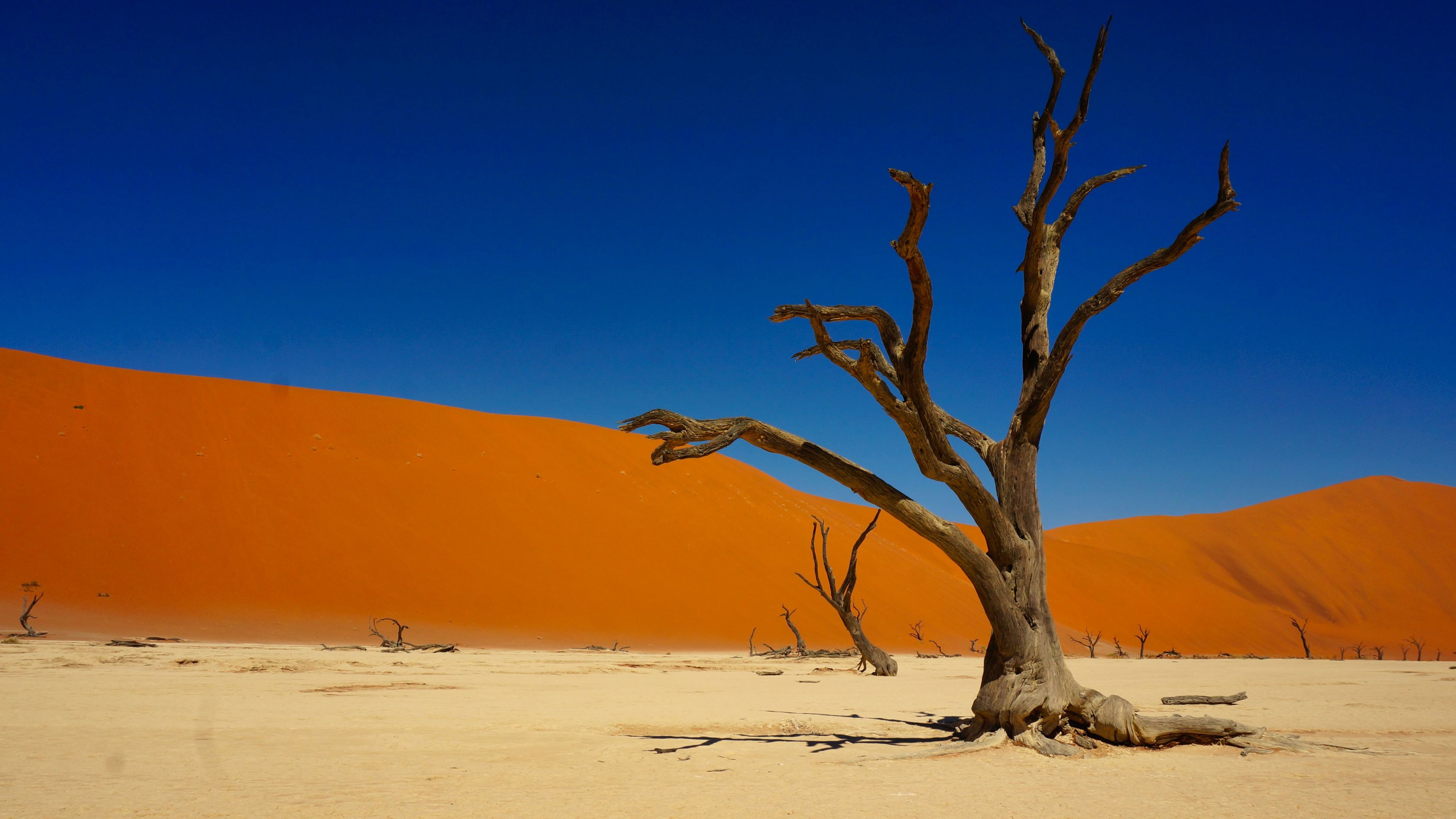 Namibia, Wüste