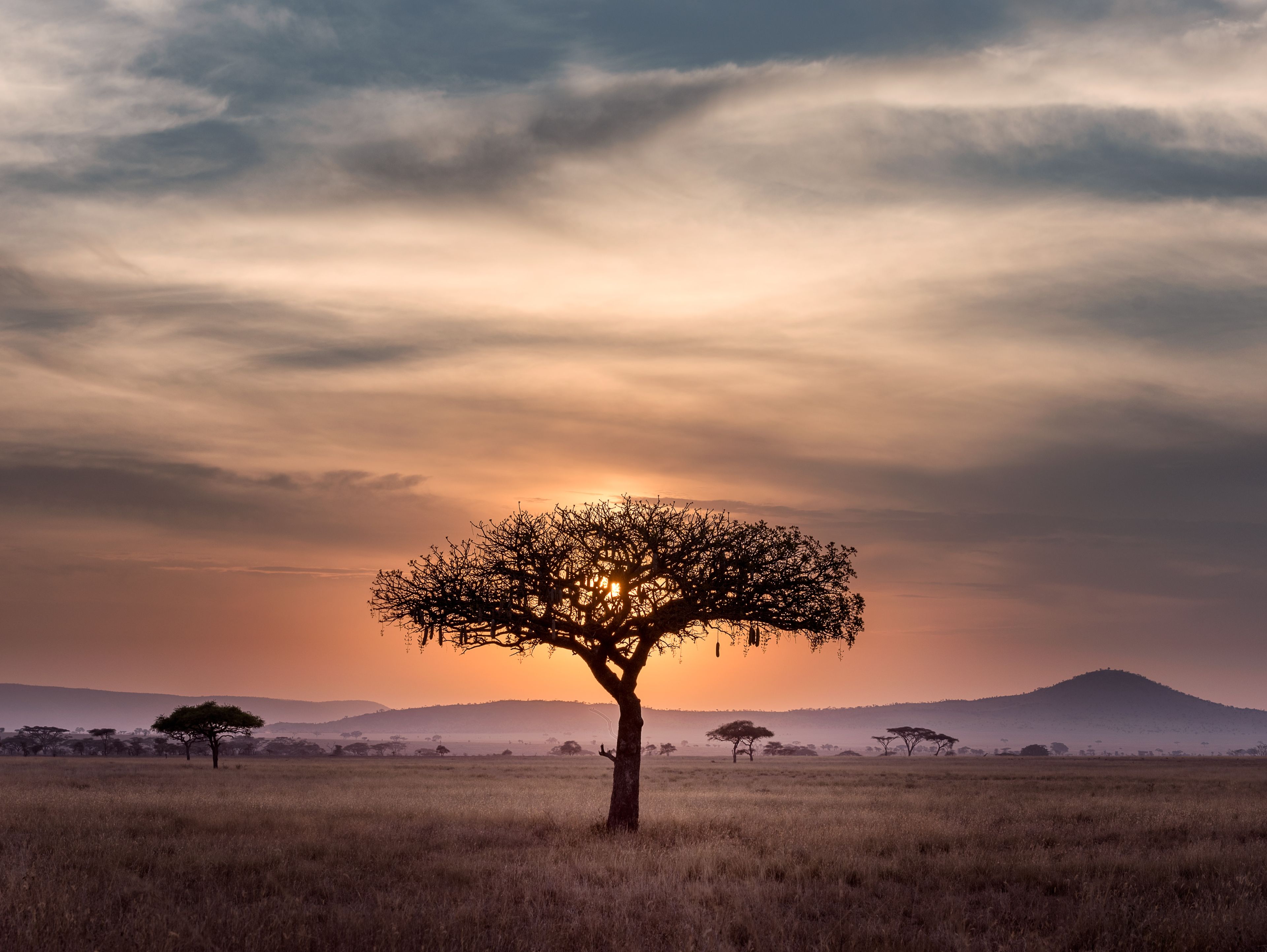 Tansania, Titelbild
